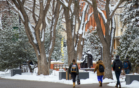 winter-international-check-in